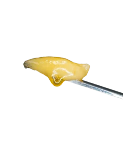 Chauffeur Live Hash Rosin