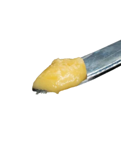 Donny Burger Live Hash Rosin