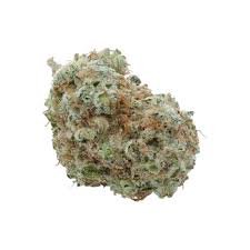 white widow bestellen