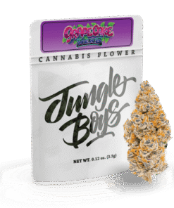 Jungle Boys | Grape Cake Head #19 – 3.5g Flower