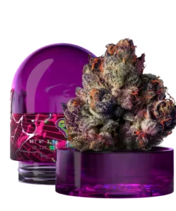 RS11 Wizard Trees